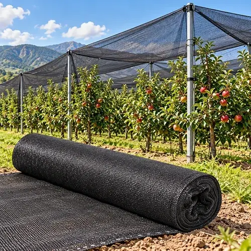 PROTIVGRADNA MREŽA 6x100M 50%